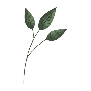 dal doğa beyaz zemin üzerine bırakır.