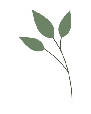 dal doğa beyaz zemin üzerine bırakır.