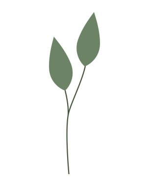 dal doğa beyaz zemin üzerine bırakır.