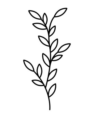 beyaz arka plan üzerinde çiçek yaprakları yeşillik