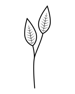 dal doğa beyaz zemin üzerine bırakır.