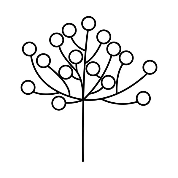 Zweig mit Beeren natur blumig — Stockvektor