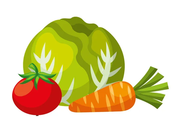 Λαχανικά τρόφιμα υγεία — Διανυσματικό Αρχείο