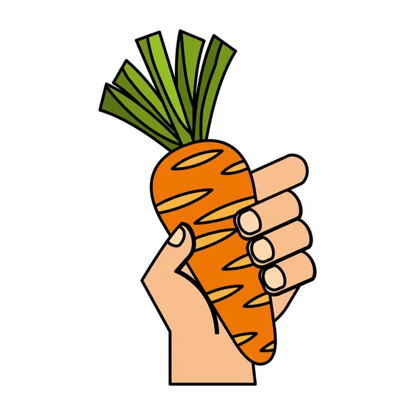 Mão segurando cenoura alimentos frescos — Vetor de Stock