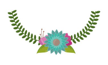 narin çiçek yaprakları