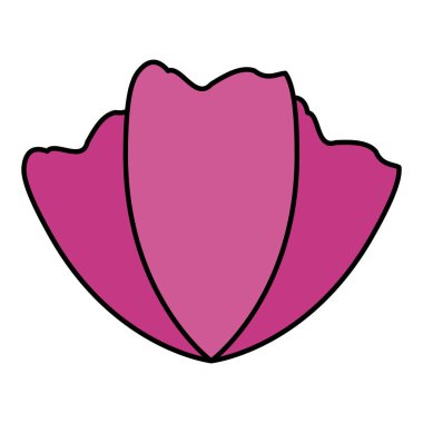 Doğal çiçek dekorasyon