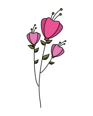 çiçek sapı yaprakları