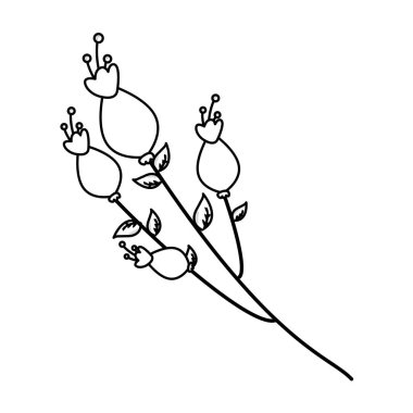 çiçek sapı yaprakları