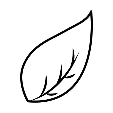 Beyaz arka plan üzerinde yaprak yeşillik