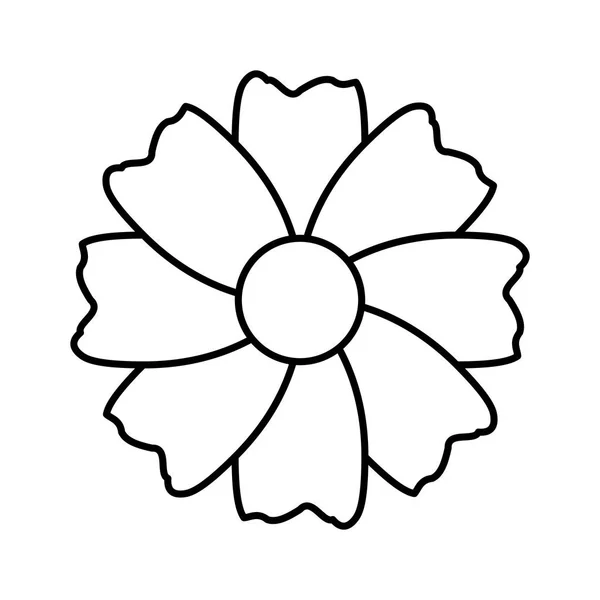 Φυσικό λουλούδι διακόσμηση — Διανυσματικό Αρχείο