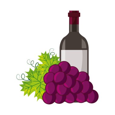 şarap şişesi demet taze üzüm