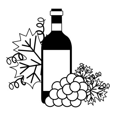 şarap şişesi demet taze üzüm