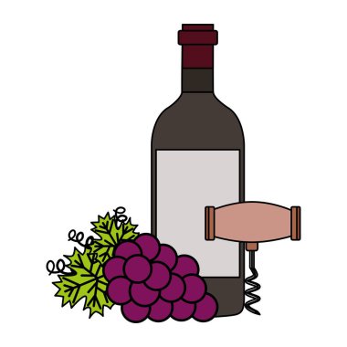 şarap şişesi tirbuşon üzüm