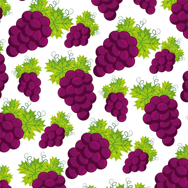 Bunch fresh grapes — Stock Vector