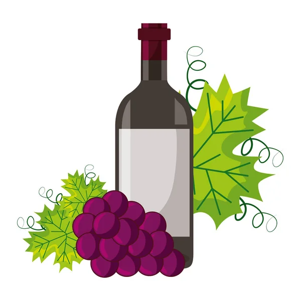Vin flaske bundt friske druer – Stock-vektor