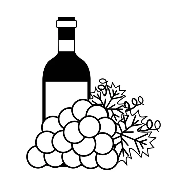 Botella de vino racimo de uvas frescas — Vector de stock