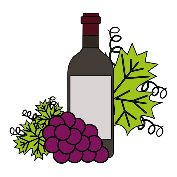 Vinho garrafa monte uvas frescas — Vetor de Stock