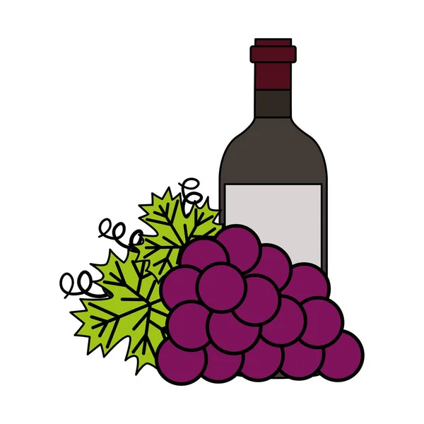 Vinho garrafa monte uvas frescas — Vetor de Stock