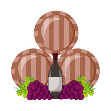 ahşap şarap fıçıları şişe ve üzüm