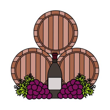 ahşap şarap fıçıları şişe ve üzüm