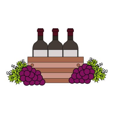 sepet ve üzüm şarap şişe