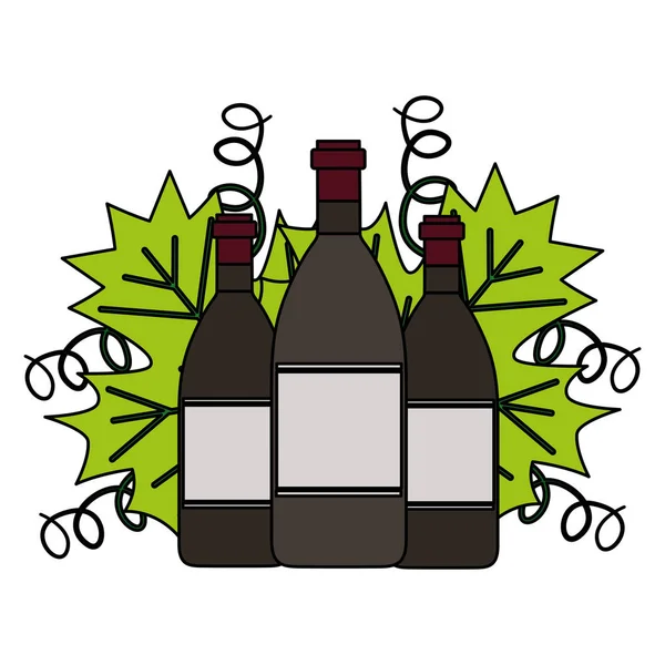 Wine bottles leaves — Stock Vector