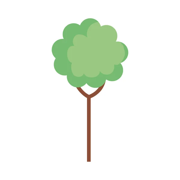 Árbol planta aislado icono — Vector de stock