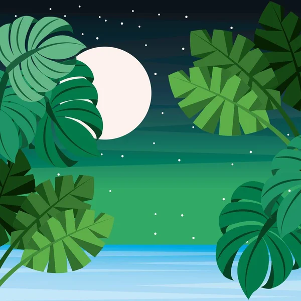 landscape tropical leaves palm sea full moon starry