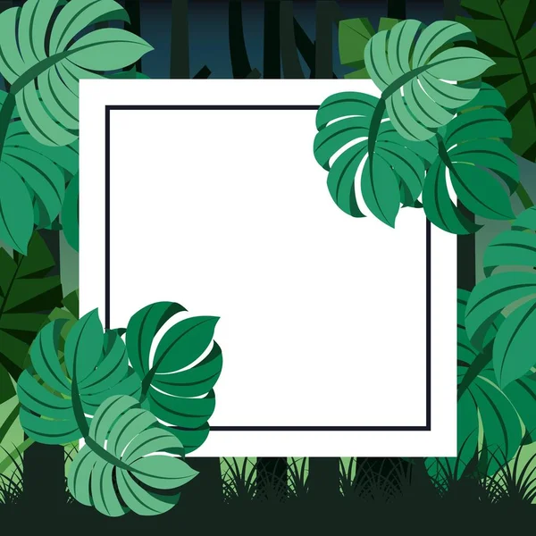 tropical landscape leaves palm card for text blank