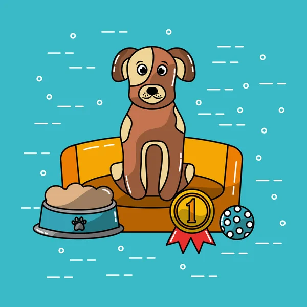 宠物狗坐在床上与食物和奖牌获得者 — 图库矢量图片