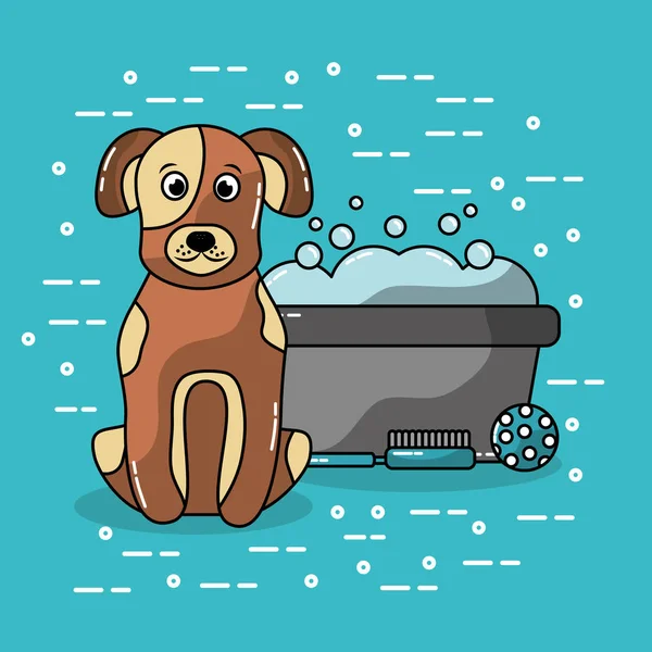 Собака сидит с ведром мыть уход щетка и мяч — стоковый вектор