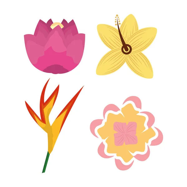 Tropische differents bloem flora set pictogrammen — Stockvector