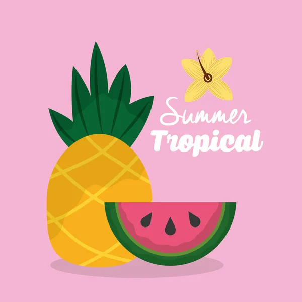 Sommer tropische Früchte Ananas und Wassermelone — Stockvektor