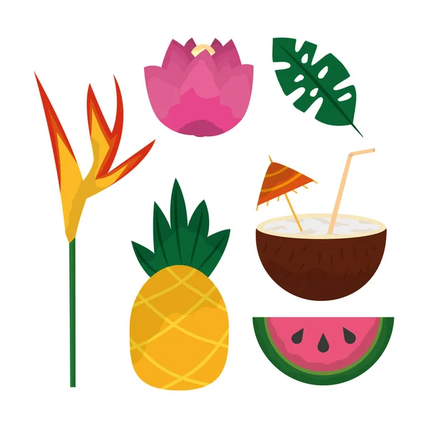 Conjunto tropical de flores coquetel de abacaxi melancia — Vetor de Stock