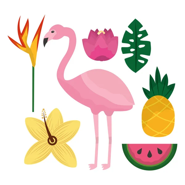 Flamengo tropical hibiscus ananas pastèque oiseau de feuilles de paradis — Image vectorielle