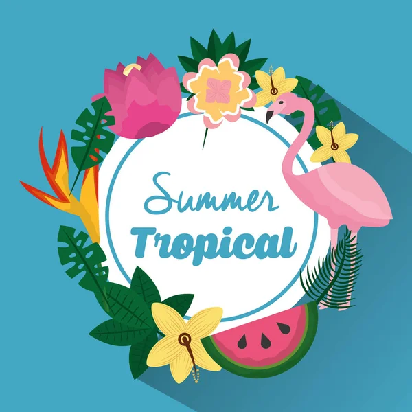 Lato tropikalne flamengo piękne egzotyczne rośliny i owoce — Wektor stockowy