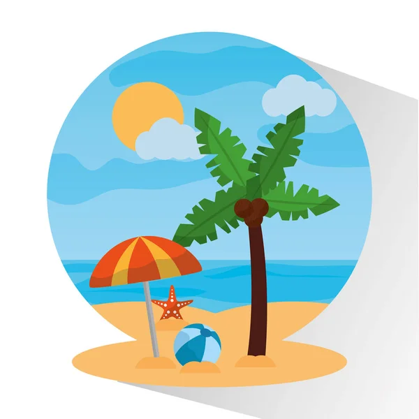 Paesaggio spiaggia palma ombrello palla stelle marine sole giorno — Vettoriale Stock