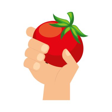 taze domates sebze tutan el