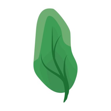 yeşil yaprak doğal