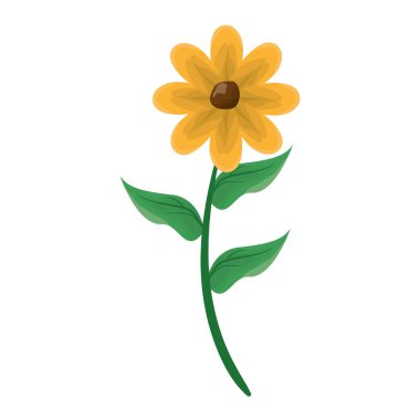 çiçek kök dekorasyon