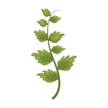 yeşil dal yaprakları