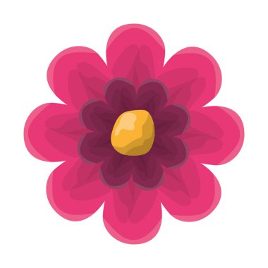 Güzellik çiçek dekorasyon