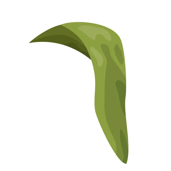 Groene blad natuurlijke — Stockvector