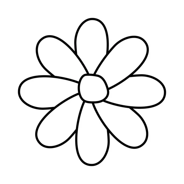 Schoonheid bloem decoratie — Stockvector