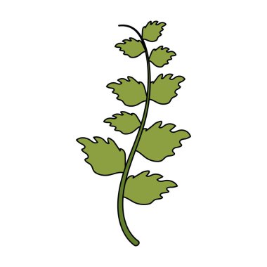 yeşil dal yaprakları