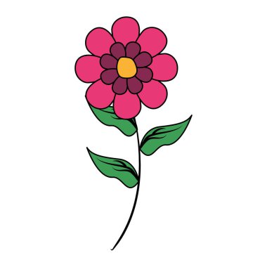 çiçek kök dekorasyon