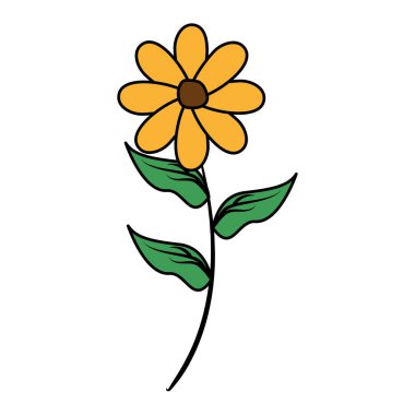 çiçek kök dekorasyon