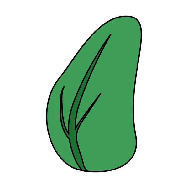 Grönt blad naturliga — Stock vektor