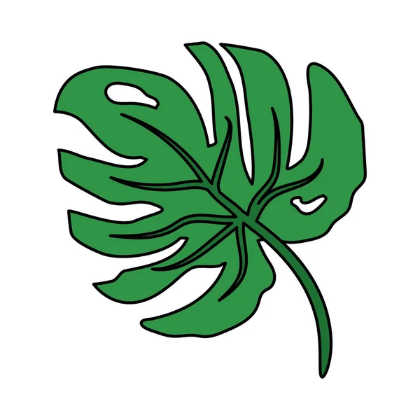 Зелёный листоед — стоковый вектор