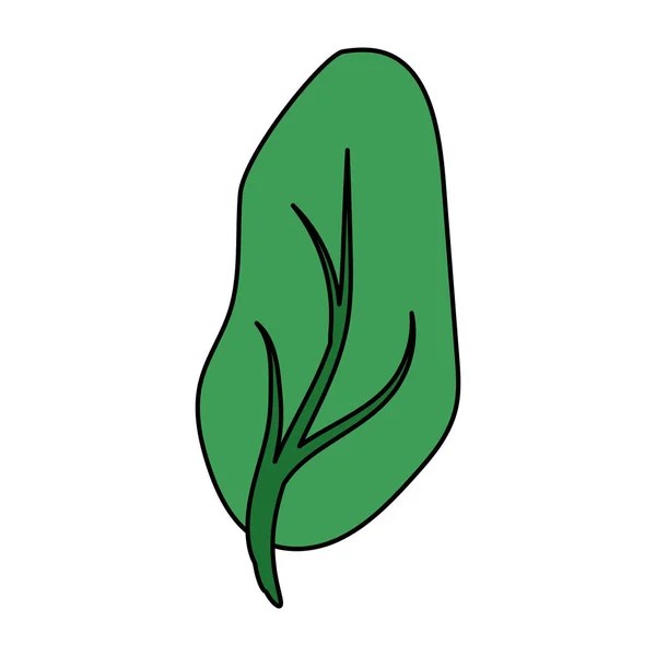 Grünes Blatt natürlich — Stockvektor